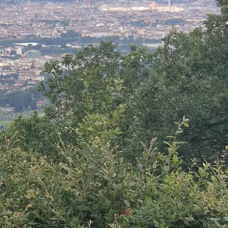 شقة Poggio Paradiso *